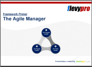 flevy The Agile Manager